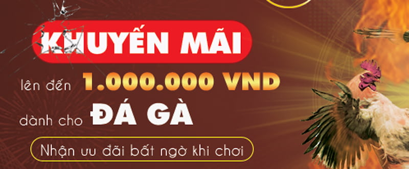 Top 3 khuyến mãi Sv388 hấp dẫn nhất, bỏ là tiếc